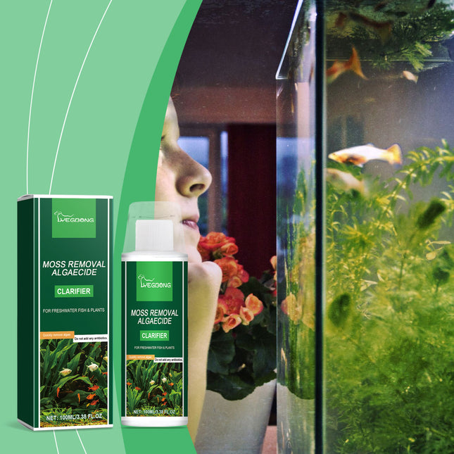 Clarificateur anti-algues Yegbong pour aquarium, éliminateur d'algues vertes, brunes, soie et mousse noire, purification de l'eau sans nuire aux poissons