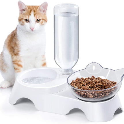 Double Dog Cat Bowls Pets Water And Food Bowl Set 15 Tilted Water And Food Bowl Set With Automatic Waterer Bottle For Small Or Medium Size Dogs Cats