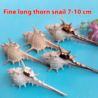 7to10cm