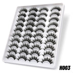 H003