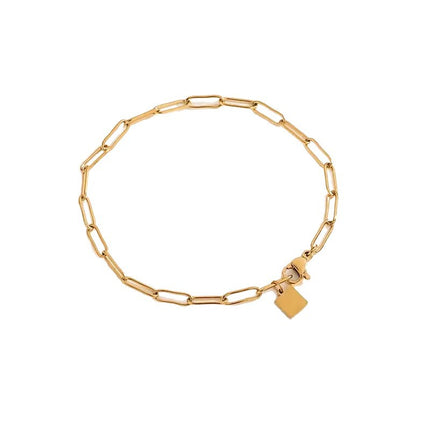 Vlekvrye Staal Nie-verbleikende Hoë-end Titaan Staal Armband