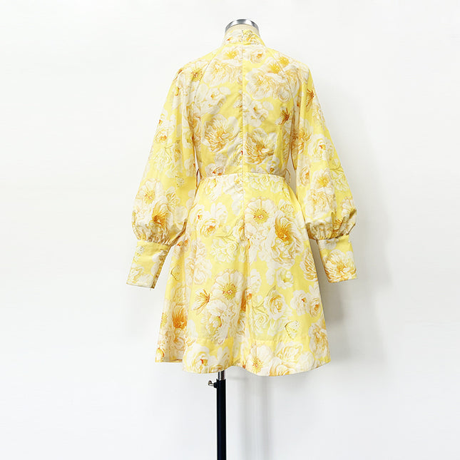 Belt Lantern Sleeve Holiday Swing Dress