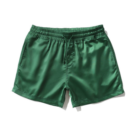 Men's Plus Size Shorts Beach Pants