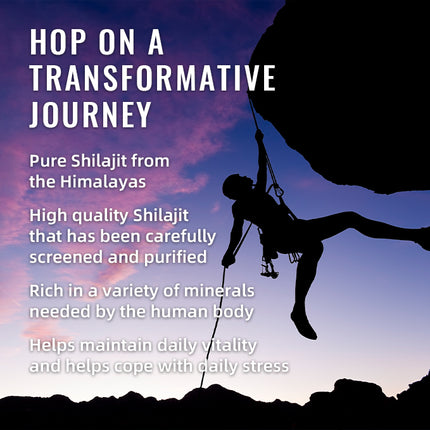 BSYS SHILAJIT GOMMETJIES 60'S