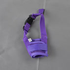 Purple / L