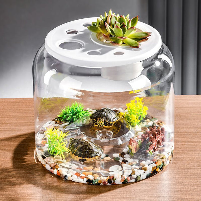 Transparent Plastic Ecological Desktop Landscaping Feeding Fish Tank