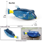 M2382 Box Of Mandarin Fish