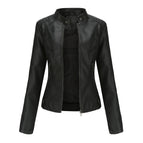 Black / 3XL