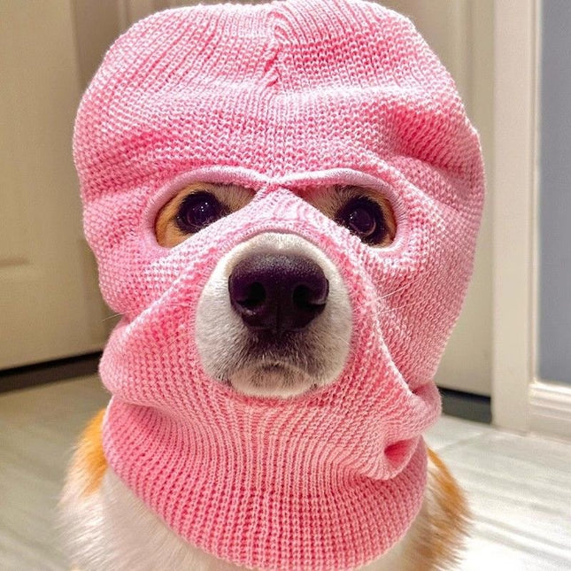 Corgi Puppy Headgear Hat Dog Creative Headdress