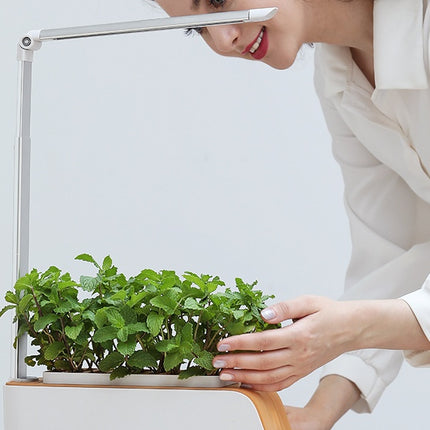 Hydroponic Container Flower Pot Garden Patio ABS It Is Not Easy To Deform Ventilation Storage Container Vegetable Spring