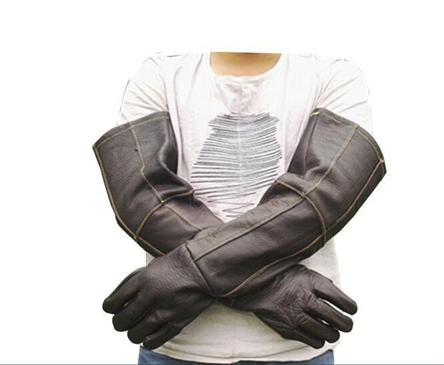 Simple Anti-bite And Scratch Pet Gloves