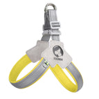 Yellow / L