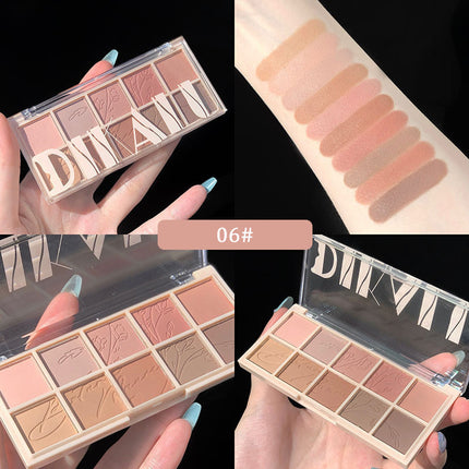 10-kleur Oogskadu Niche Ultra-glans Pêrelmoer Mat Oogskadu Palet