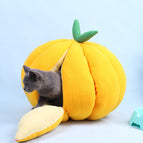 Thickened orange nest / L