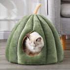 Pumpkin Nest Green / L