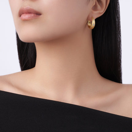 Modern Circle - Premium Moissanite Luxury Fashion Light Luxury Jewelry Silver Stud Earrings S925 Silver Electroplated Gold