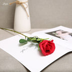 Red25pcs