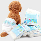 Diapers / Female L