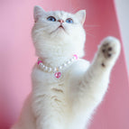 Pink White Bead Powder / L