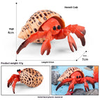 Hermit Crab Spot