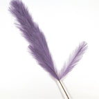 Purple / 1PC