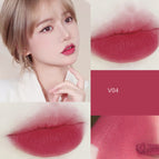 V04COLOR