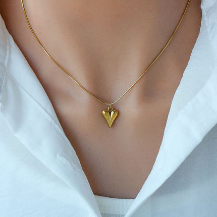 Stylvolle Titaanstaal Halsband wat Nie Sal Vervra nie