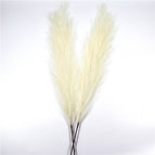 Cream / 1PC
