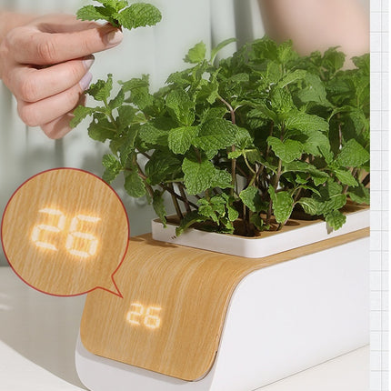 Hydroponic Container Flower Pot Garden Patio ABS It Is Not Easy To Deform Ventilation Storage Container Vegetable Spring