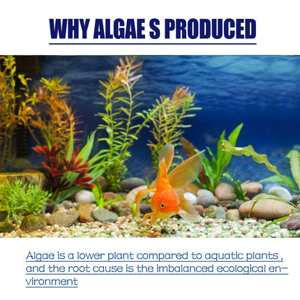 Igbondigal Lichen Fish Tank Cleaning Supplies Algaecide To Remove Moss And Green Water Algae