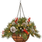 Hanging Basket 1 / 1pcs