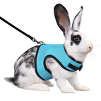 Light Blue / L