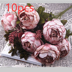 E / 10PCS