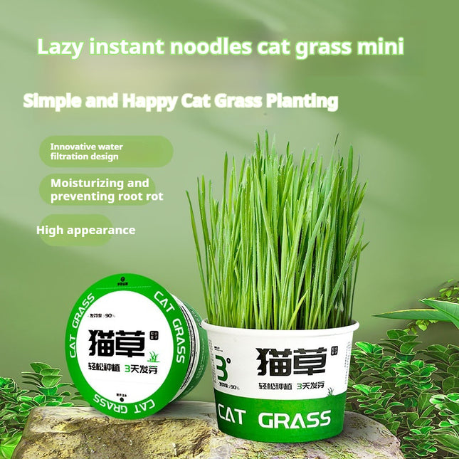 Lazy Cat Grass Canned Hydroponic Soilless Depilation Ball Digestive Snacks