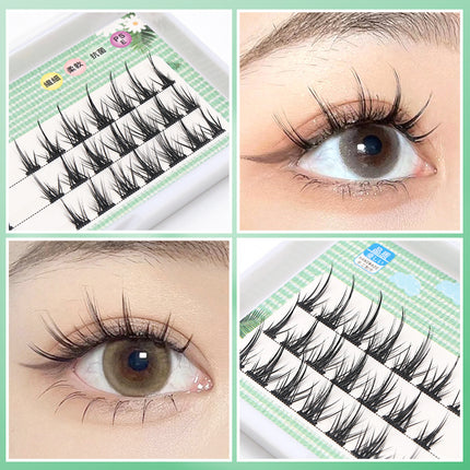 Kunsmatige Wimpers Gesegmenteer Is Geknip Enkele Lyn Harde Stam
