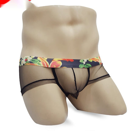 Men's Mesh Lightweight See-through Underwear Low Waist Transparent Sexy Briefs