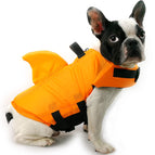 Orange / 2XL