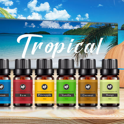 16 Theme Atmosphere Flameless Essential Oil Sets