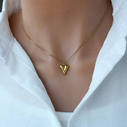 Stylvolle Titaanstaal Halsband wat Nie Sal Vervra nie