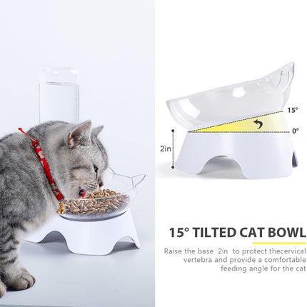 Double Dog Cat Bowls Pets Water And Food Bowl Set 15 Tilted Water And Food Bowl Set With Automatic Waterer Bottle For Small Or Medium Size Dogs Cats