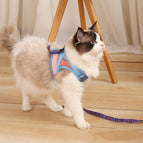 Blaues 1,5-m-Seil / L