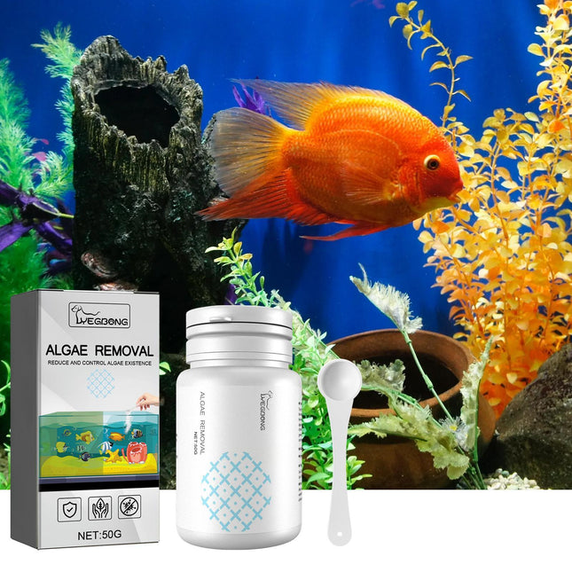 Igbondigal Lichen Aquarium Reinigungszubehör Algizid zur Entfernung von Moos und Grünalgen
