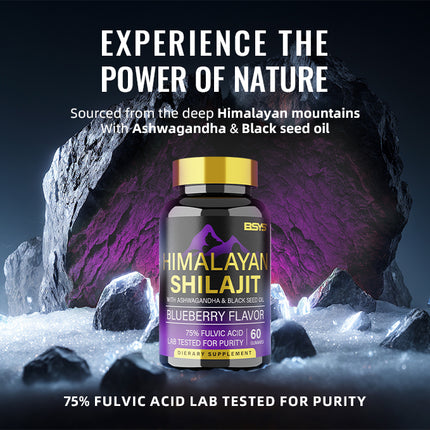 BSYS SHILAJIT GOMMETJIES 60'S
