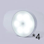 4pcs White light / USB