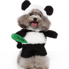 Panda / L
