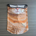 Oranje Kat