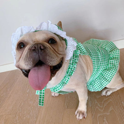 Creative Plaid Dog Dress Set