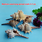 5to7cm