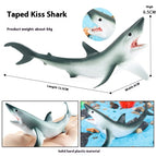 Q9899S239 Tip Kiss Shark