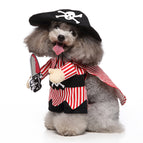 Pirate with a knife / L